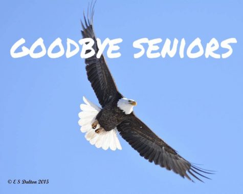 How To Cope With Your Senior Friends Leaving