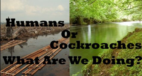 The Environment is Headed for Retirement
