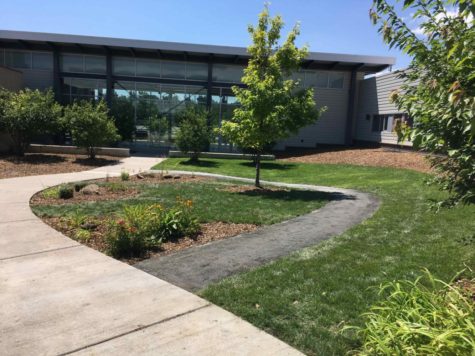 Extreme Courtyard Makeover