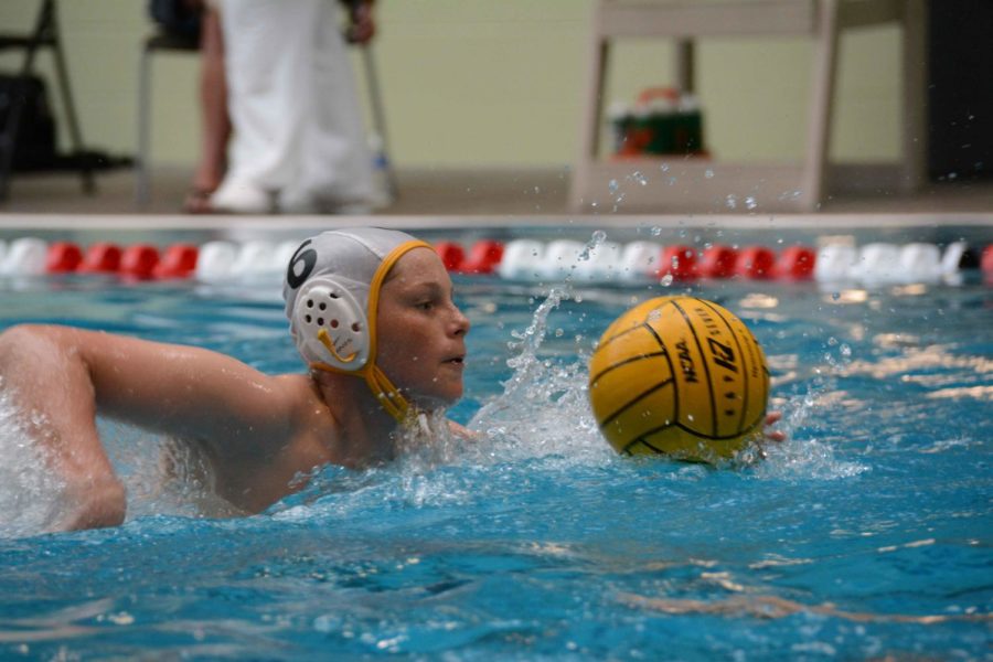 Water+Polo%3A+The+Unrecognized+Sport