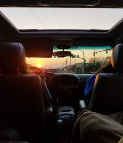 Life Is a Road Trip