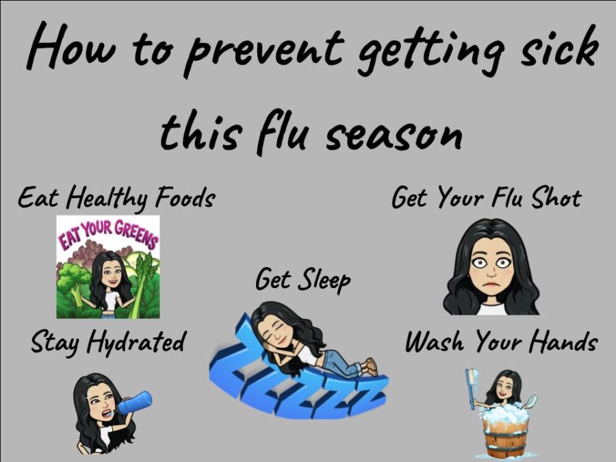 Flu+Season+is+Upon+Us