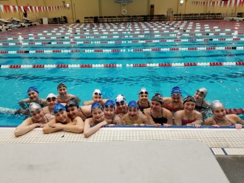 Girls Swimming Finishes 6th at State Competition