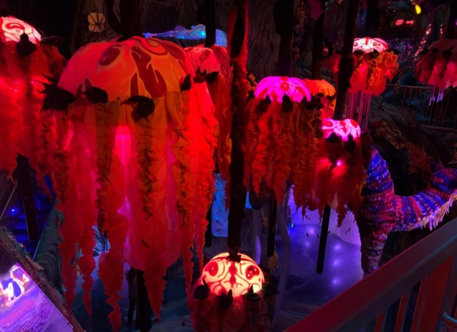 Luminous jellyfish float around in one of Meow Wolfs many colorful exhibits. 