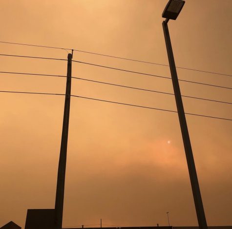 The forest fires of 2020 reduced Colorados air quality to the worst in the world. Due to climate change, forest fires occur with increasing frequency.